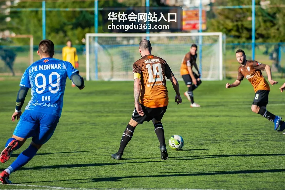 华体会网站入口通道页面示意