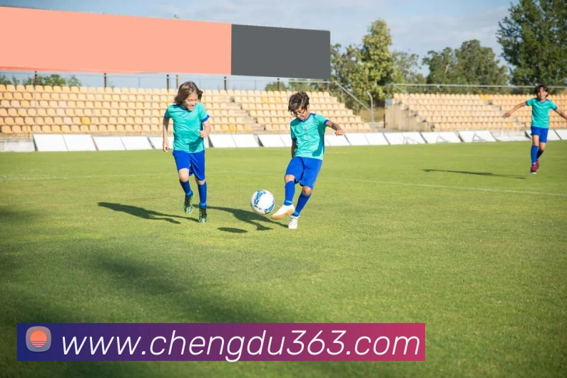 必一运动体育app官网APP 封面图